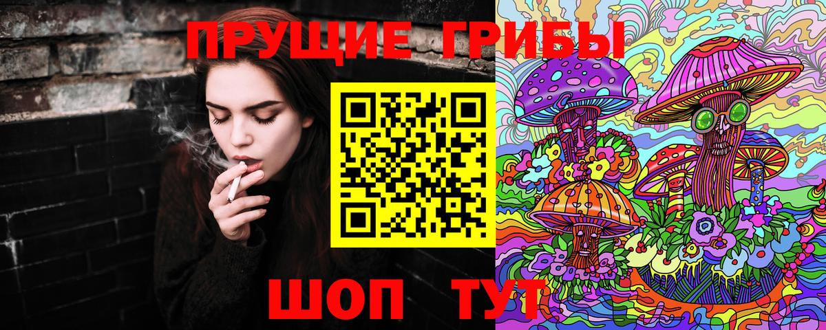 Карачаевск  Псилоцибиновые грибы Psilocybe  Вход с VPN 