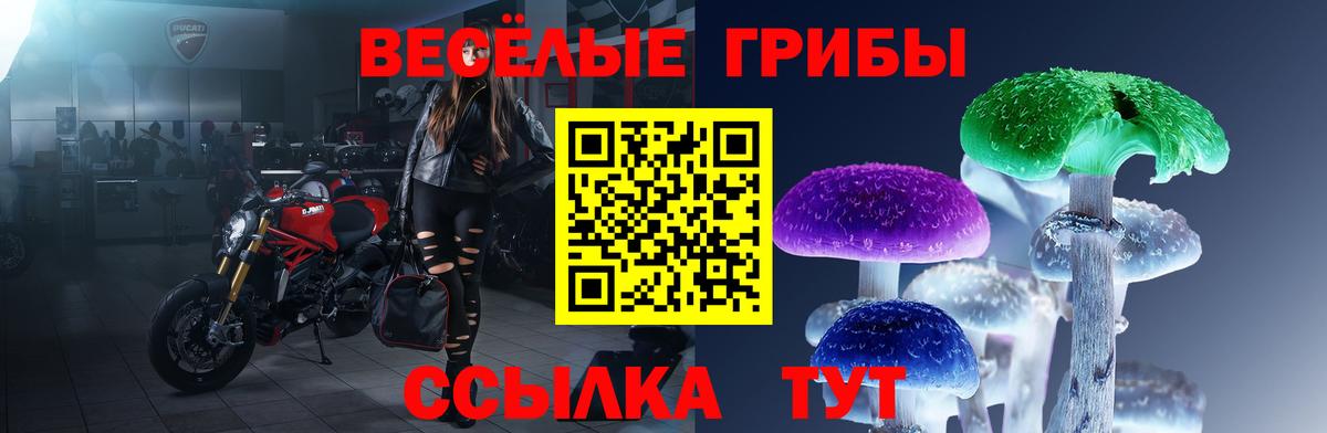 Псилоцибиновые грибы Psilocybine cubensis Карачаевск